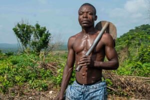 digital tools for growth