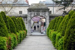 momentum gateway unlocks caller discovery